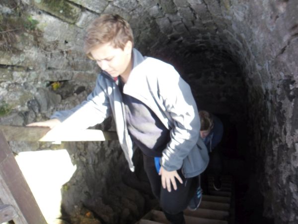 SAM_7617