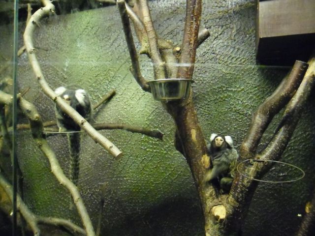 SAM_0315