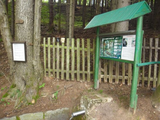 SAM_0837