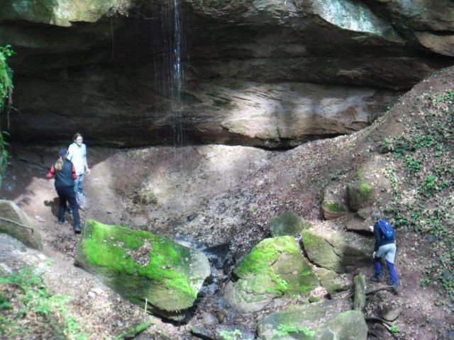 SAM_0866